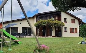 L'Agapanthe